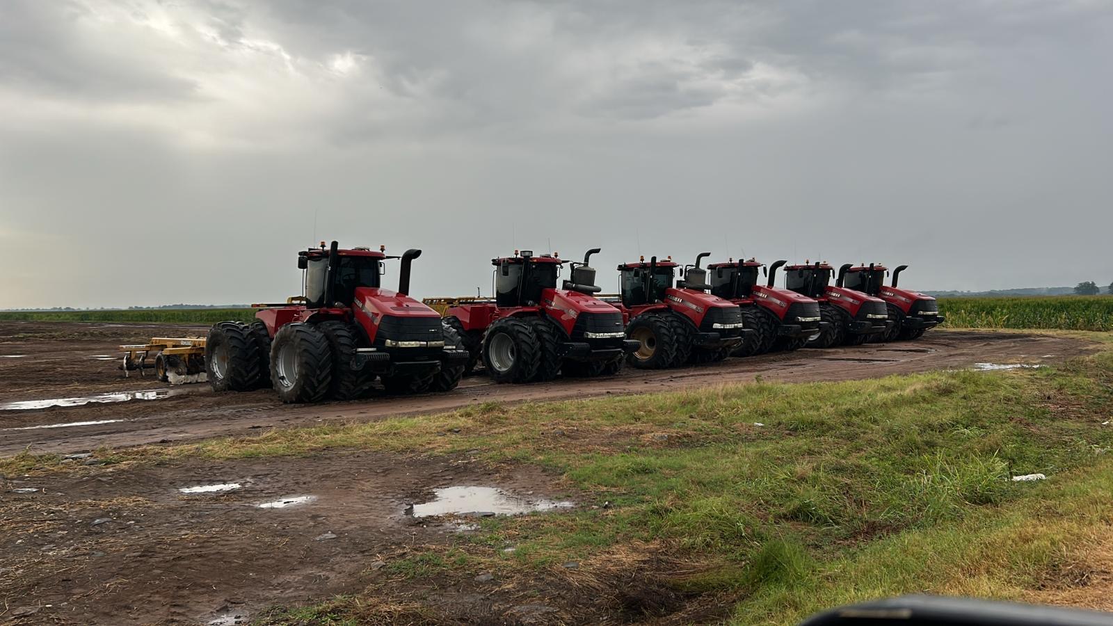 multiple red case tractors lined up in a row