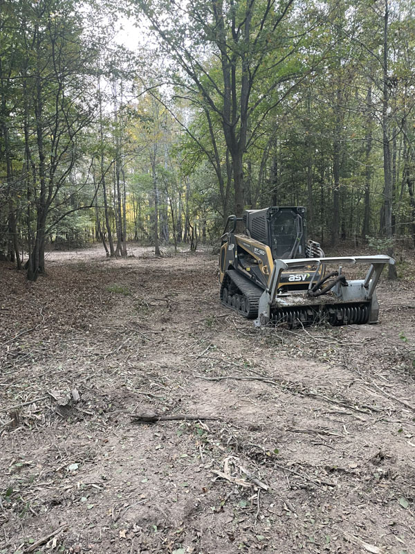 dozer for land clearing